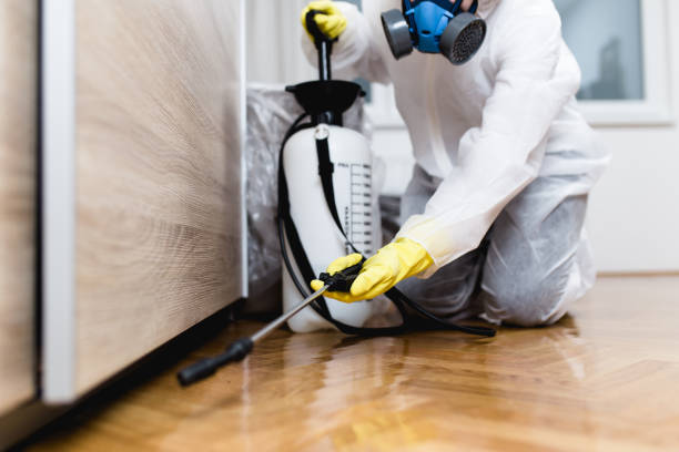 Best Bed Bug Extermination  in Panama, OK