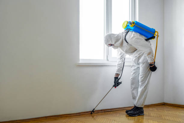 Pest Control Cost in Panama, OK